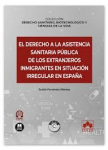 El derecho a la asistencia sanitaria pública de los extranjeros inmigrantes en situación irregular en España vignette