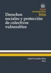 Derechos sociales y protección de colectivos vulnerables vignette