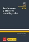 Feminismos y procesos constituyentes vignette