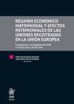Régimen económico matrimonial y efectos patrimoniales de las uniones registradas en la Unión Europea vignette